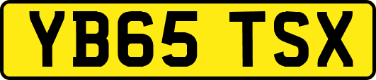 YB65TSX