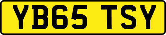 YB65TSY