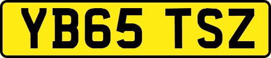 YB65TSZ
