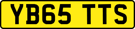 YB65TTS