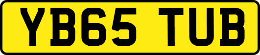 YB65TUB