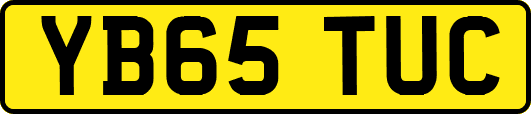 YB65TUC
