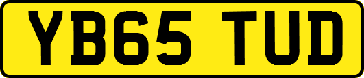 YB65TUD