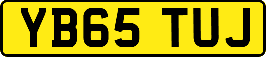 YB65TUJ