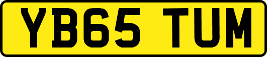 YB65TUM