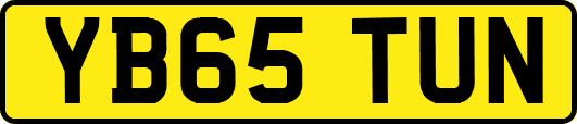 YB65TUN