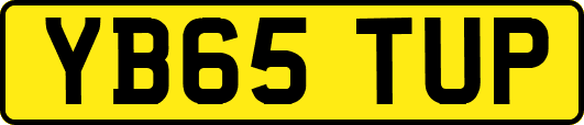 YB65TUP