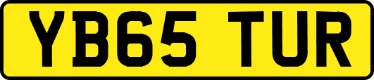 YB65TUR
