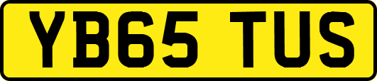 YB65TUS