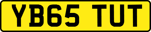 YB65TUT