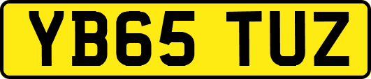 YB65TUZ