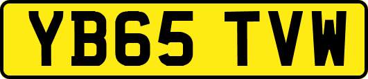 YB65TVW
