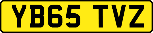 YB65TVZ