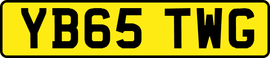 YB65TWG