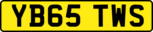 YB65TWS