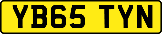 YB65TYN