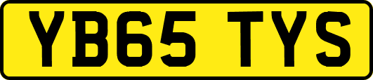 YB65TYS