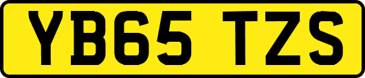 YB65TZS