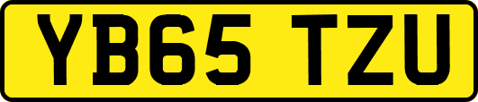 YB65TZU