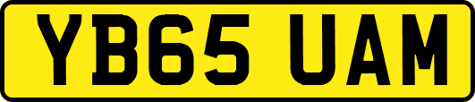 YB65UAM