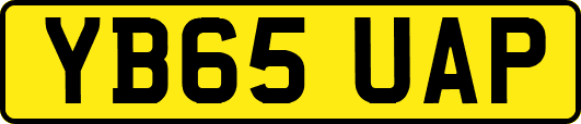 YB65UAP