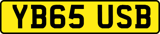 YB65USB