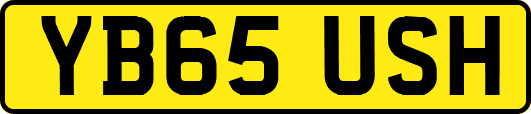 YB65USH