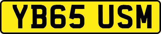 YB65USM