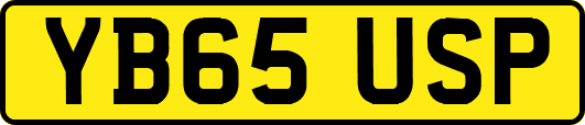 YB65USP