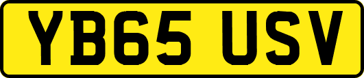 YB65USV