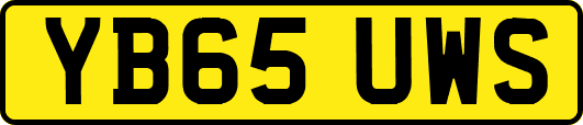 YB65UWS