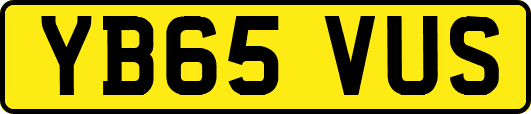 YB65VUS