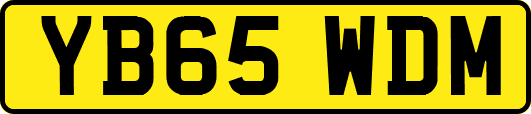 YB65WDM