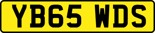 YB65WDS