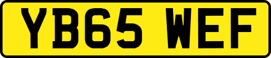 YB65WEF