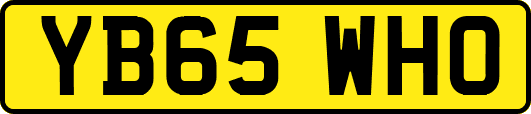 YB65WHO