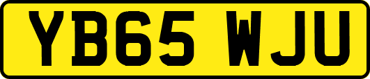 YB65WJU