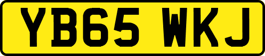 YB65WKJ