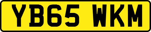 YB65WKM