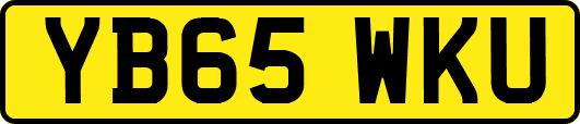 YB65WKU