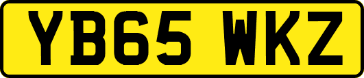 YB65WKZ