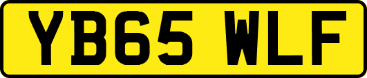 YB65WLF