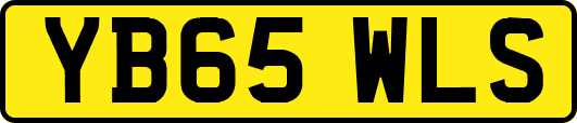 YB65WLS