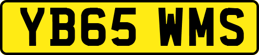 YB65WMS