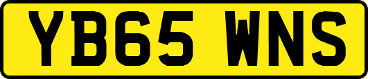 YB65WNS