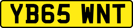 YB65WNT