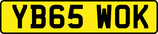 YB65WOK