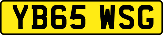 YB65WSG