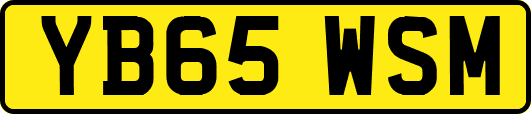YB65WSM