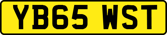 YB65WST